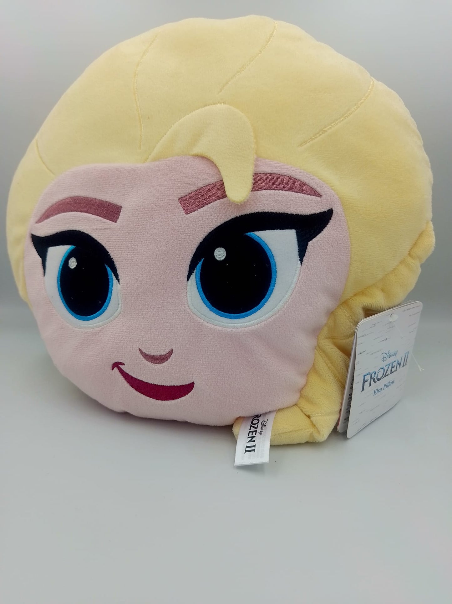Frozen II Elsa