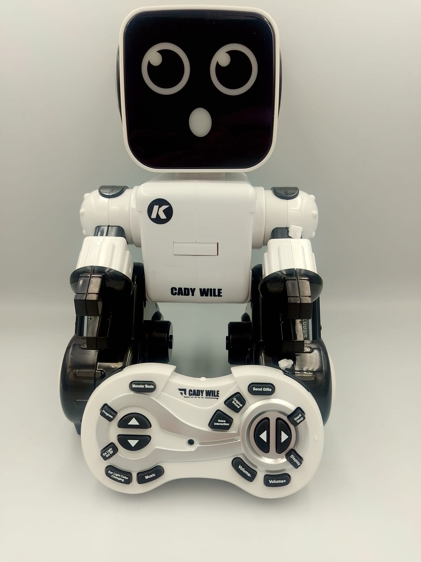 Intelligenter Roboter / Englisches Modell