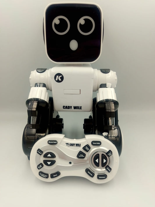 Intelligenter Roboter / Englisches Modell